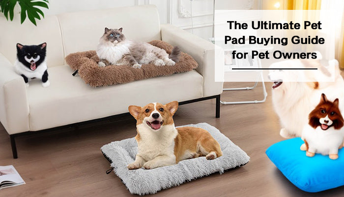 The Ultimate Pet Pad Buying Guide for Pet Owners