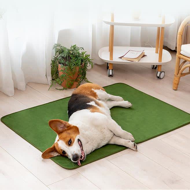 Solid Color Comfy Absorbent Pet Pad