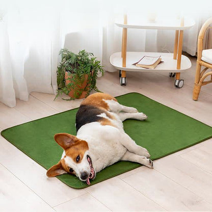 Solid Color Comfy Absorbent Pet Pad