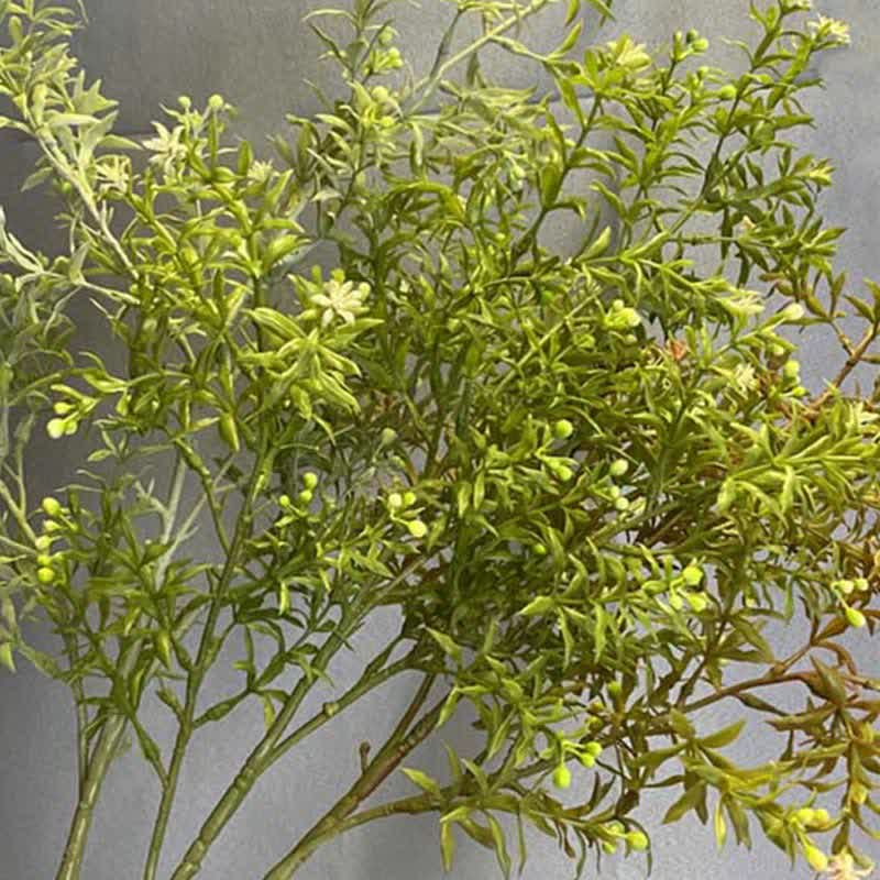 Artificial Plants Murraya Paniculata Leaves Branch Decor Ownkoti 4