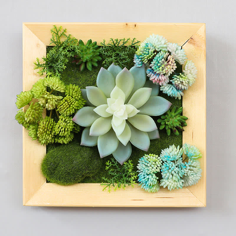 Artificial Succulent Greenery Framed Wall Decor Decor Ownkoti Colorful