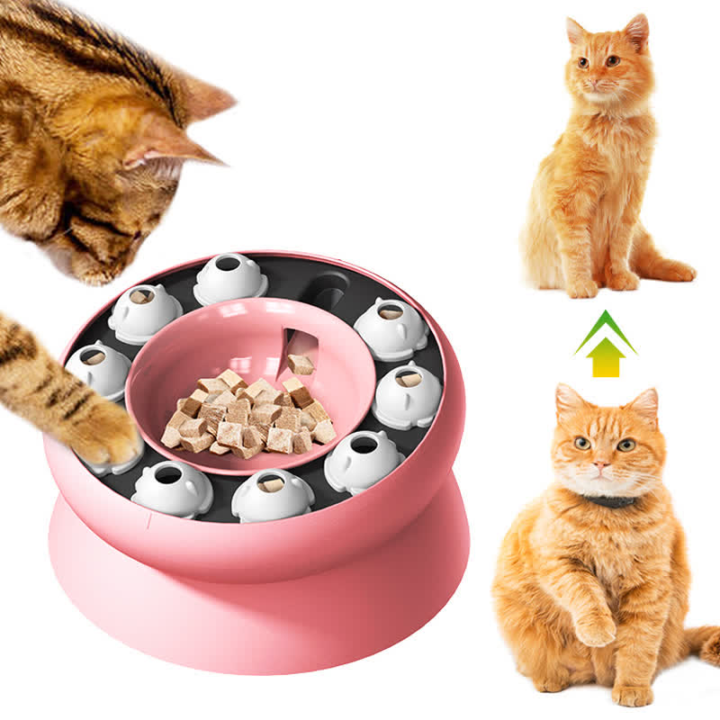Functional Slow Feeder Pet Bowls