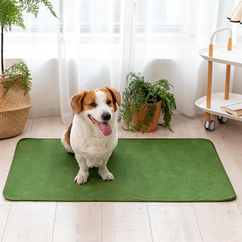 Solid Color Comfy Absorbent Pet Pad – ownkoti