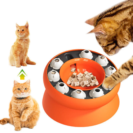Functional Slow Feeder Pet Bowls