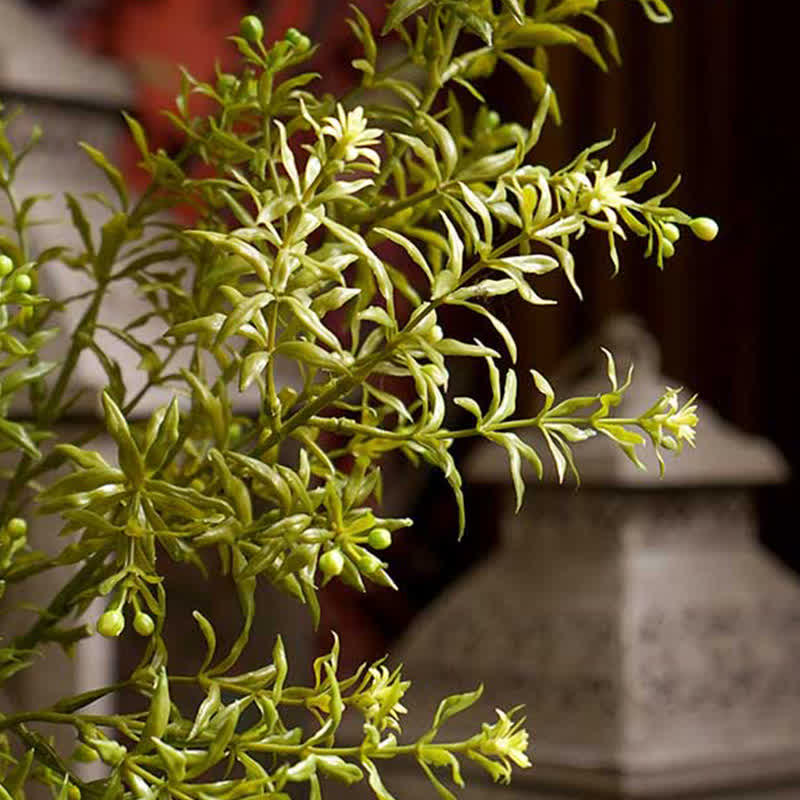 Artificial Plants Murraya Paniculata Leaves Branch Decor Ownkoti 5