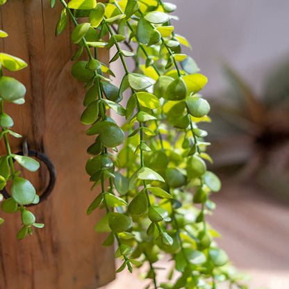 Artificial Eucalyptus Leaves Spray Branches Decoration Decor Ownkoti Green 6PCS