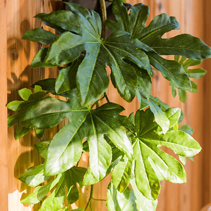 Artificial Green Leaves Fatsia Japonica
